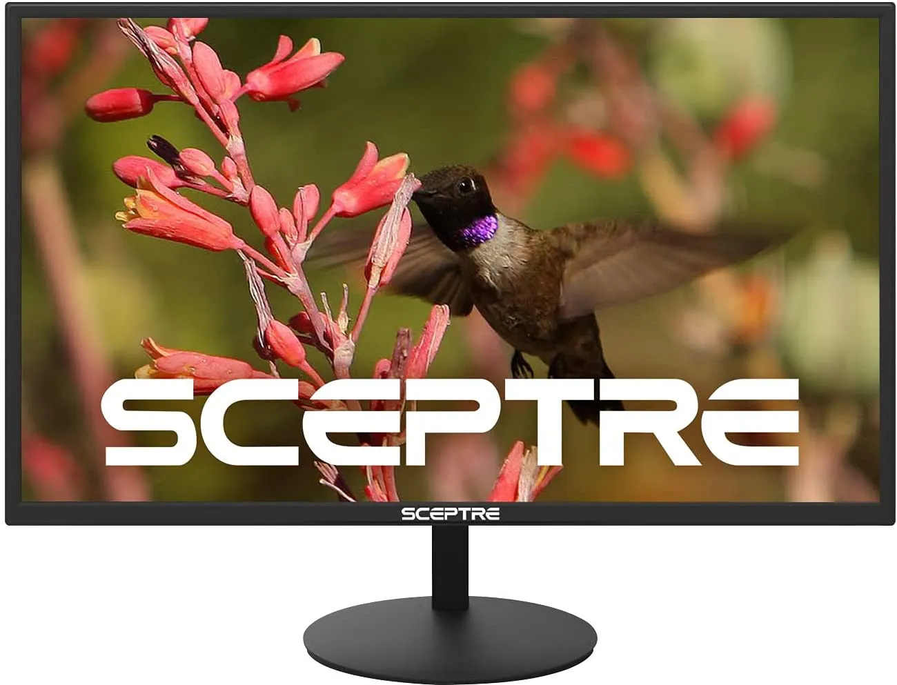 Sceptre E275W-19203R 27" Ultra Thin 1080P LED Monitor
